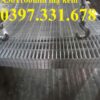 Lưới thép hàn phi 3 ô 20x100mm hàng sẵn kho